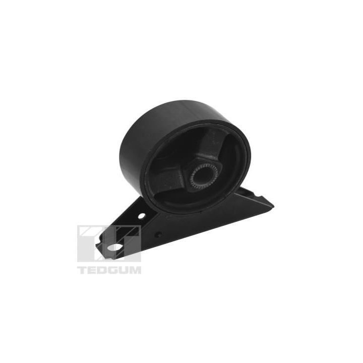 Variklio montavimas TEDGUM 00284804