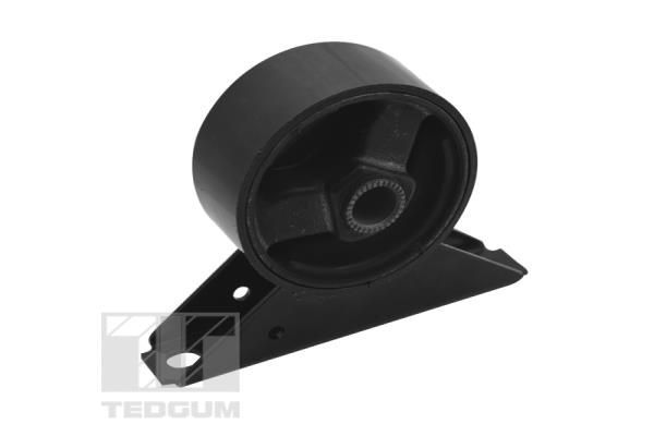 Variklio montavimas TEDGUM 00284804