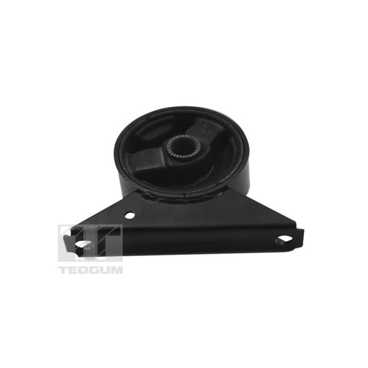 Variklio montavimas TEDGUM 00284804