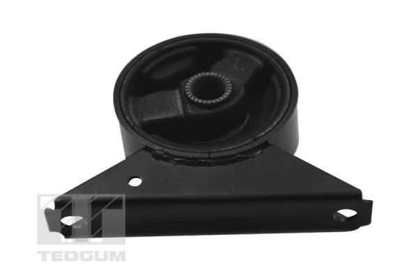Variklio montavimas TEDGUM 00284804