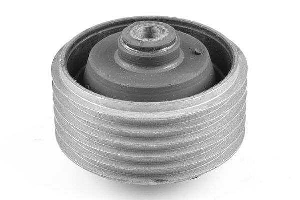 Variklio montavimas TEDGUM 00285189