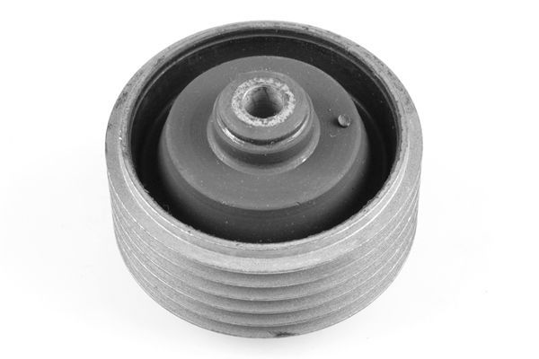 Variklio montavimas TEDGUM 00285189