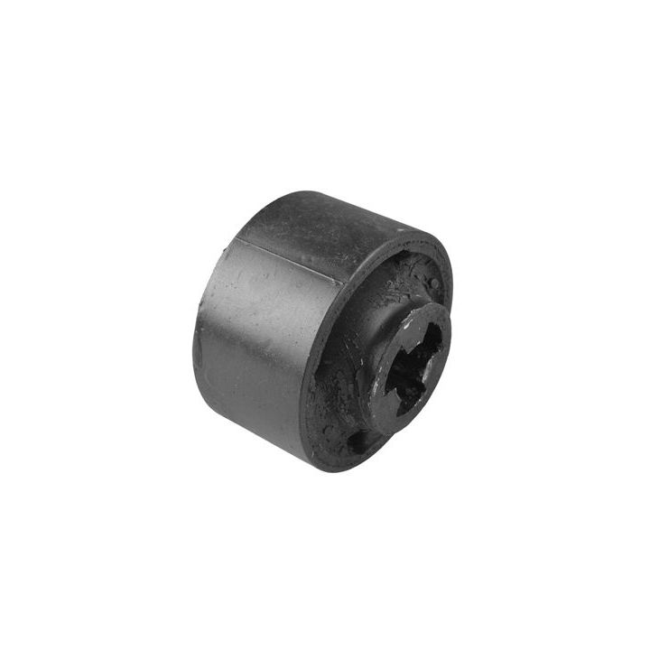 Variklio montavimas TEDGUM 00287476