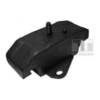 Variklio montavimas TEDGUM 00288032