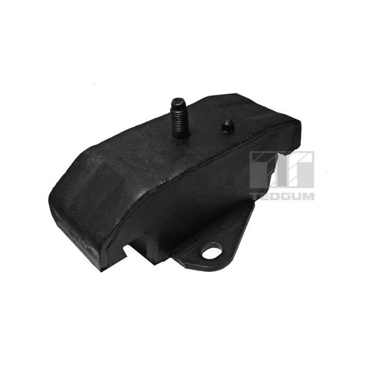 Variklio montavimas TEDGUM 00288032
