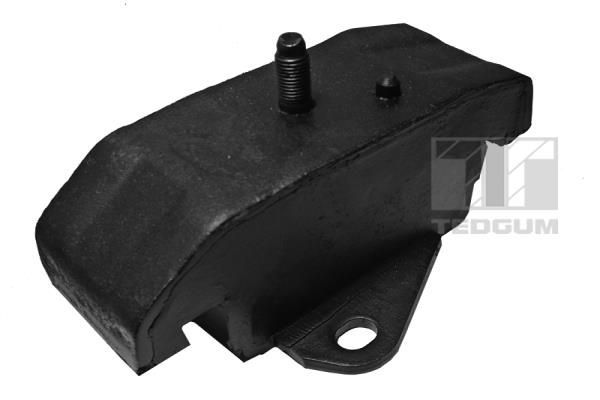 Variklio montavimas TEDGUM 00288032