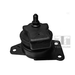 Variklio montavimas TEDGUM 00288192