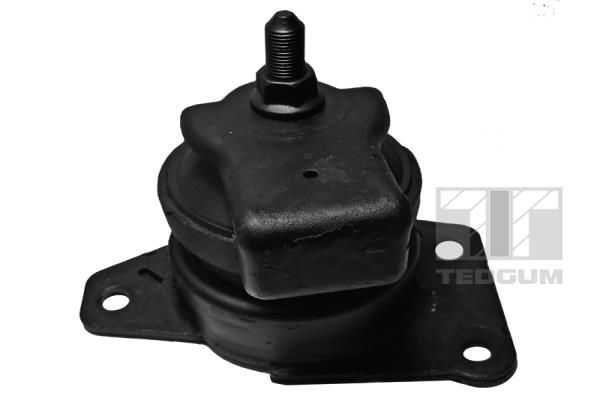 Variklio montavimas TEDGUM 00288192