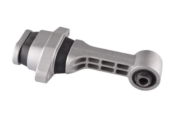 Variklio montavimas TEDGUM 00289244