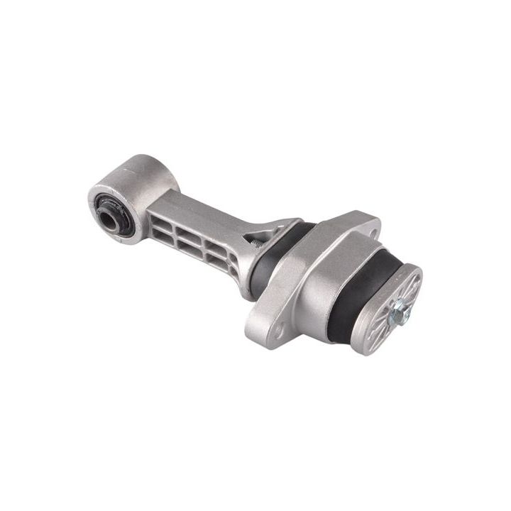 Variklio montavimas TEDGUM 00289244