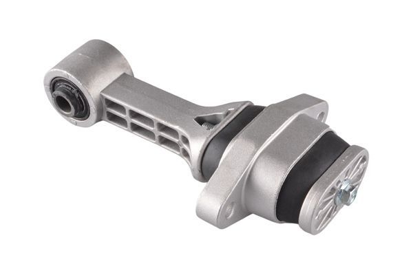 Variklio montavimas TEDGUM 00289244