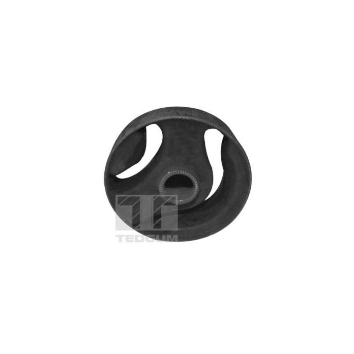 Variklio montavimas TEDGUM 00289677