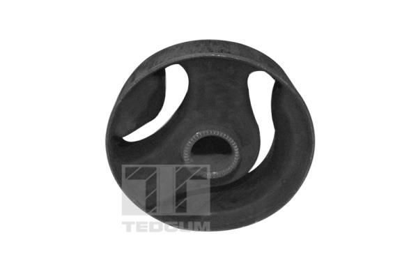 Variklio montavimas TEDGUM 00289677