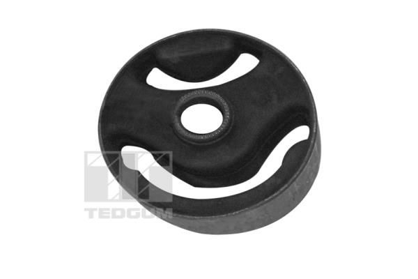 Variklio montavimas TEDGUM 00289677