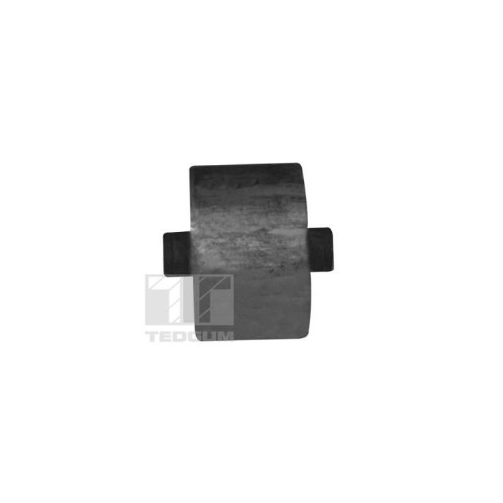 Variklio montavimas TEDGUM 00289677