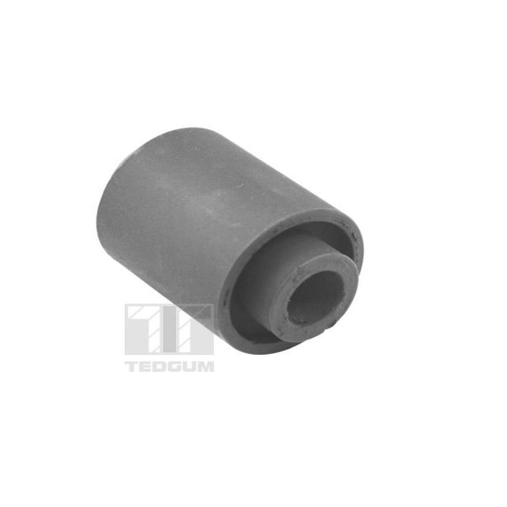 Variklio montavimas TEDGUM 00289791