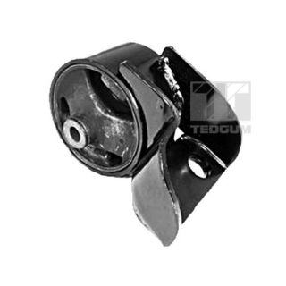 Variklio montavimas TEDGUM 00340468