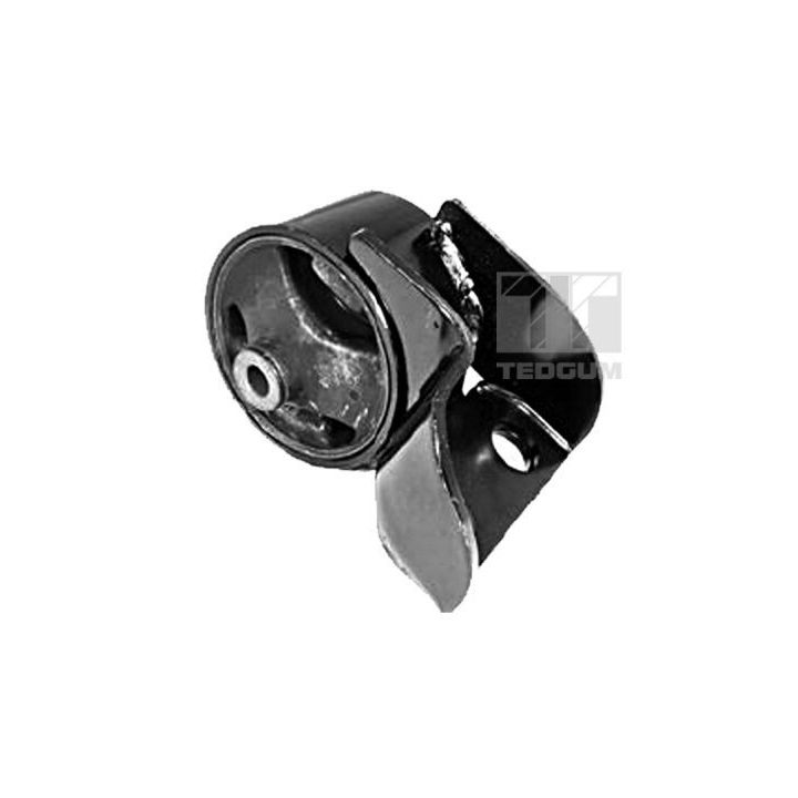 Variklio montavimas TEDGUM 00340469