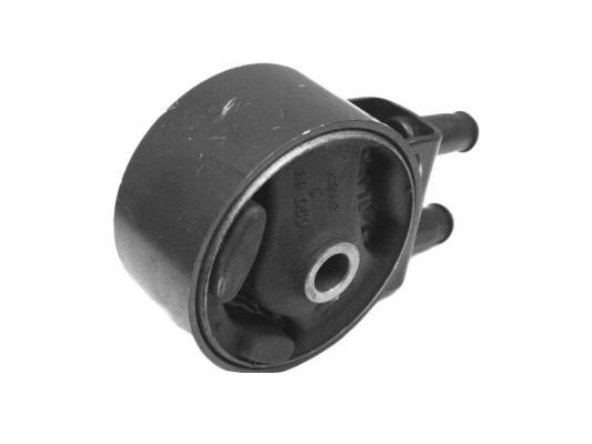 Variklio montavimas TEDGUM 00340480