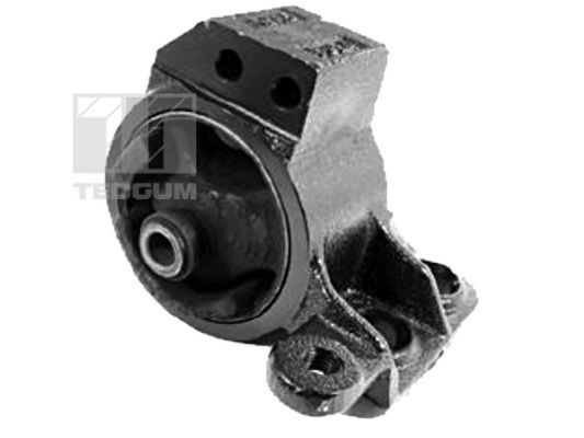 Variklio montavimas TEDGUM 00340491