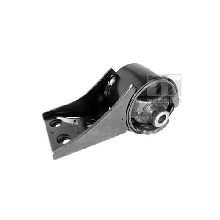 Variklio montavimas TEDGUM 00340493