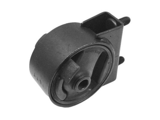 Variklio montavimas TEDGUM 00340507