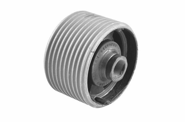 Variklio montavimas TEDGUM 00343319