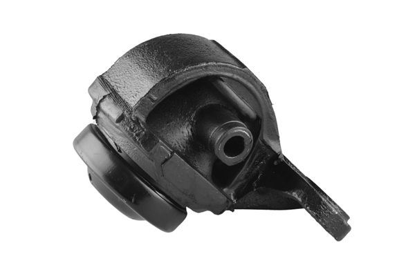 Variklio montavimas TEDGUM 00345623