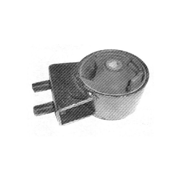 Variklio montavimas TEDGUM 00346777