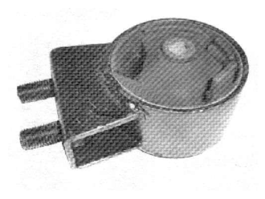 Variklio montavimas TEDGUM 00346777