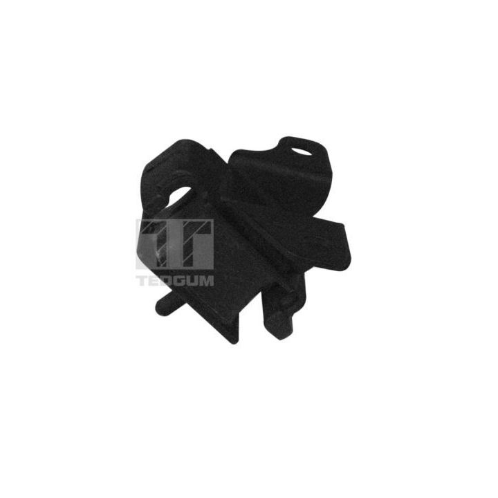 Variklio montavimas TEDGUM 00349546