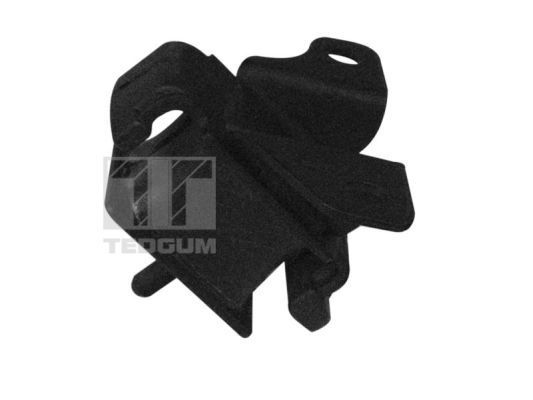 Variklio montavimas TEDGUM 00349546