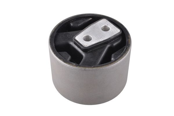 Variklio montavimas TEDGUM 00349747