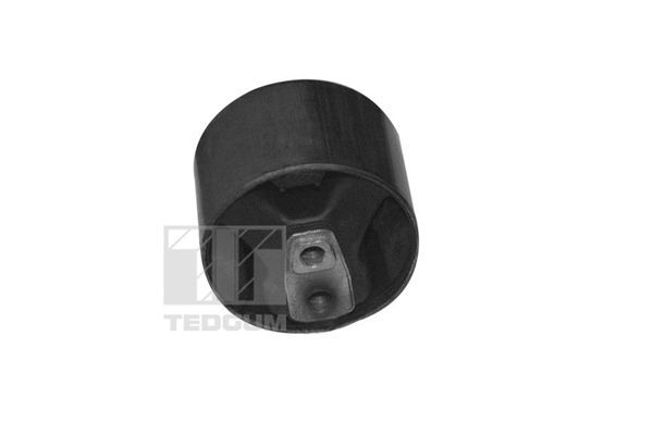 Variklio montavimas TEDGUM 00349814