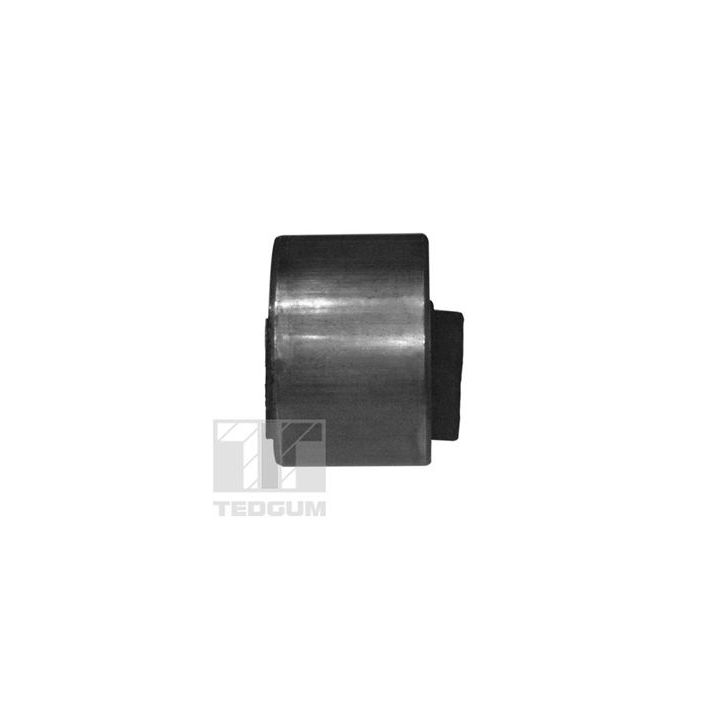 Variklio montavimas TEDGUM 00349814