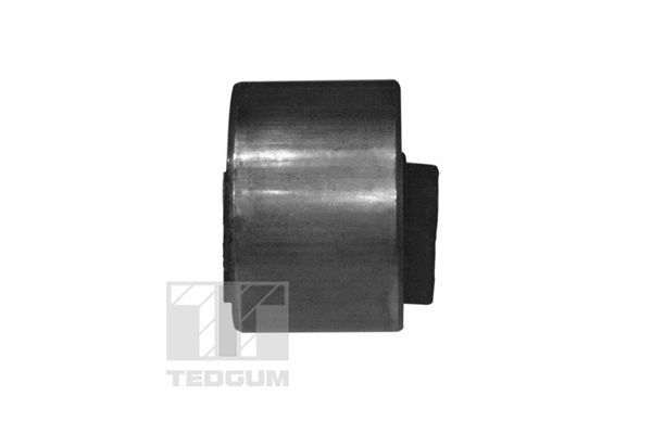 Variklio montavimas TEDGUM 00349814