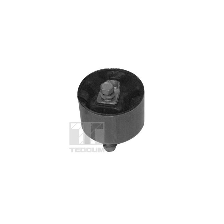 Variklio montavimas TEDGUM 00349814