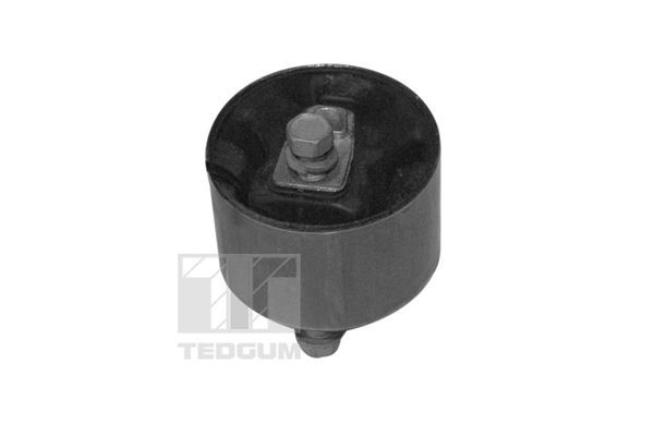 Variklio montavimas TEDGUM 00349814