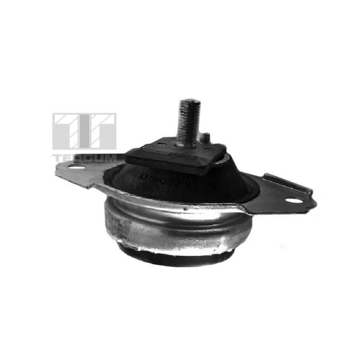Variklio montavimas TEDGUM 00371407