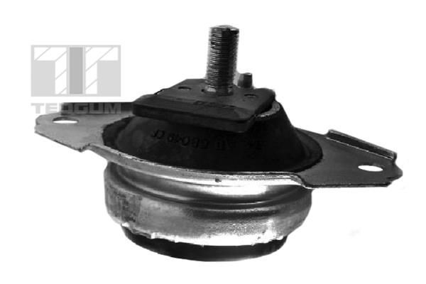 Variklio montavimas TEDGUM 00371407