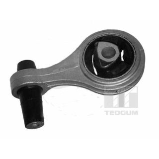 Variklio montavimas TEDGUM 00376209