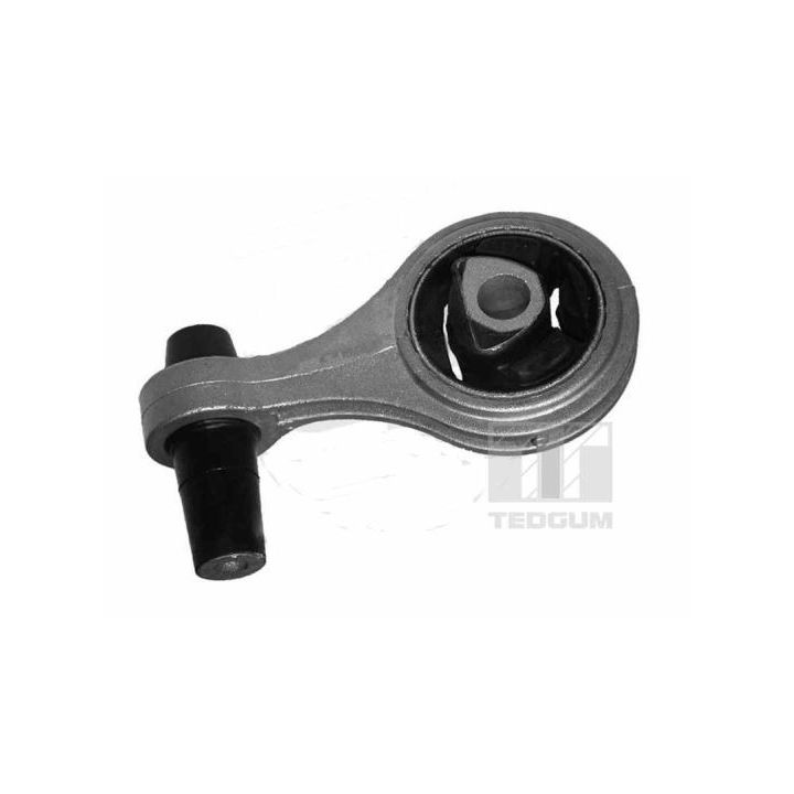 Variklio montavimas TEDGUM 00376209