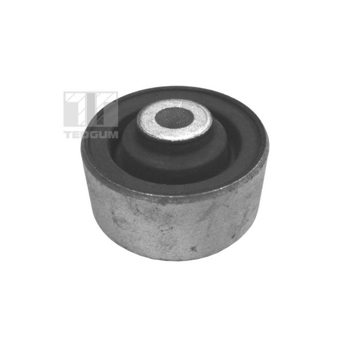 Variklio montavimas TEDGUM 00378153