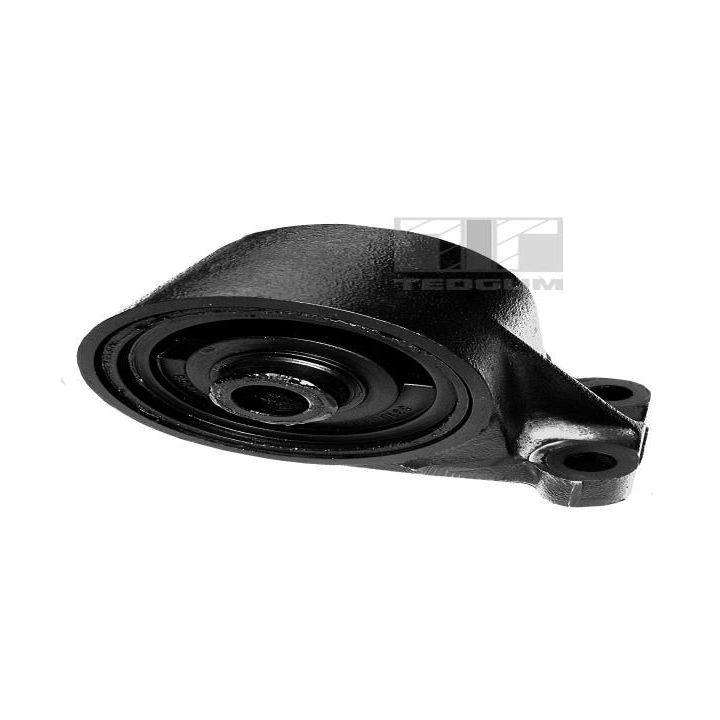 Variklio montavimas TEDGUM 00390134