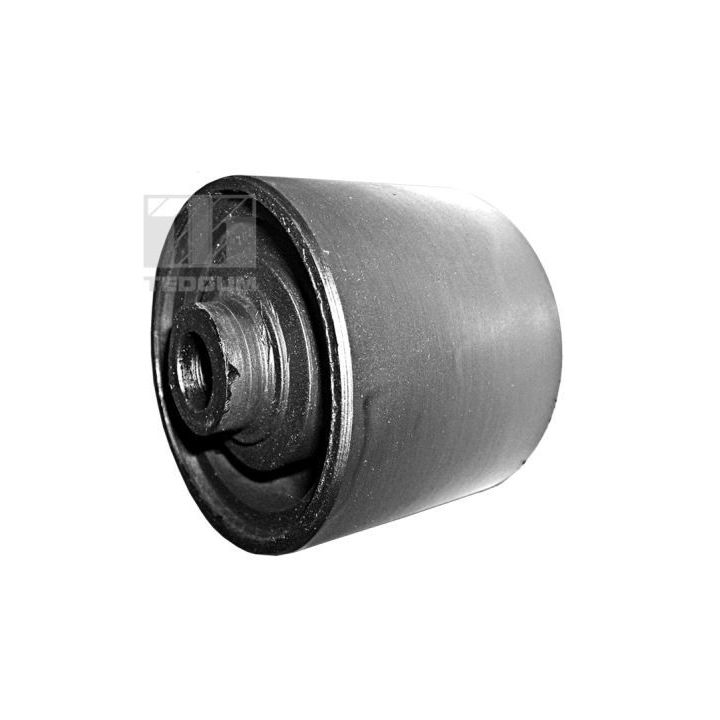 Variklio montavimas TEDGUM 00390135