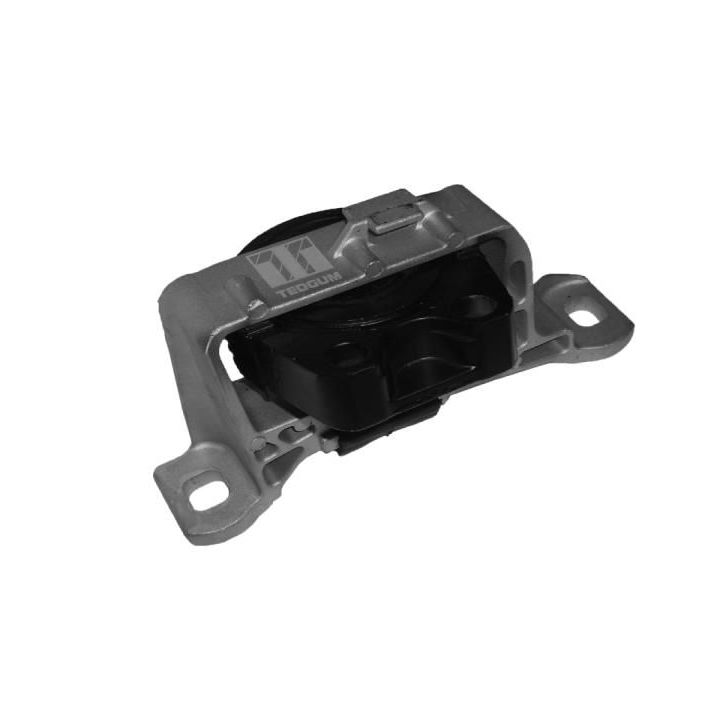 Variklio montavimas TEDGUM 00390514