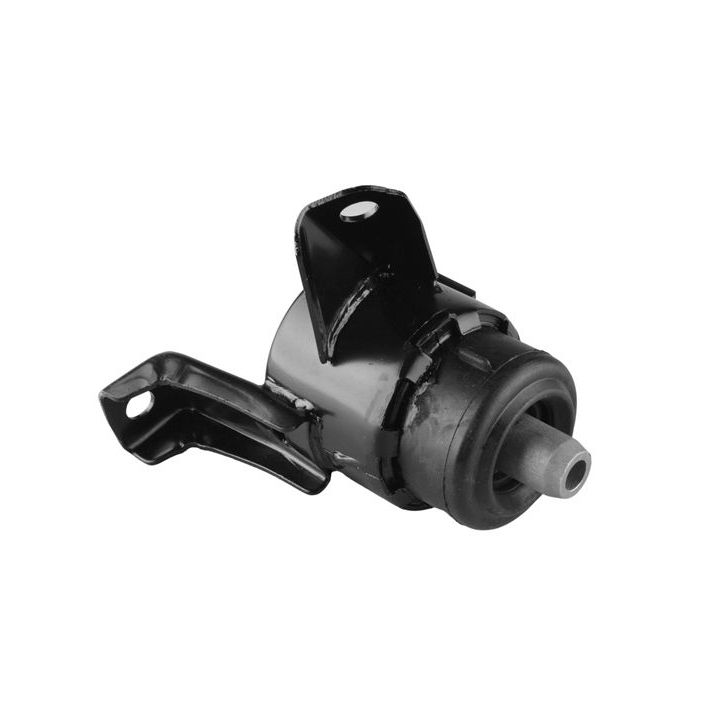 Variklio montavimas TEDGUM 00390515