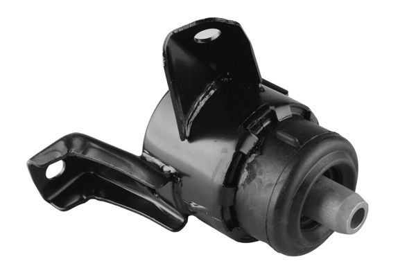 Variklio montavimas TEDGUM 00390515