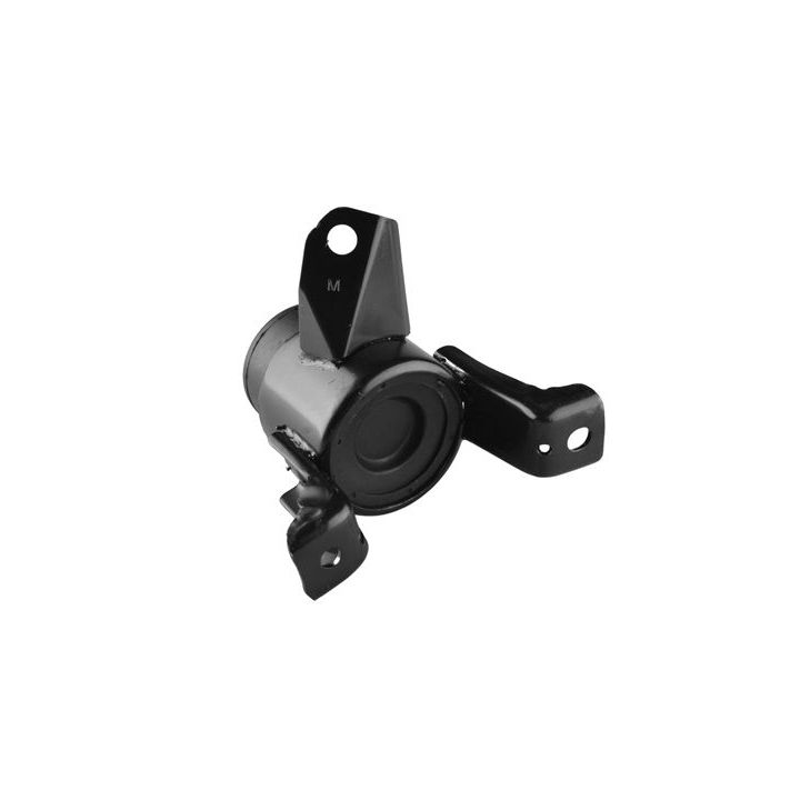 Variklio montavimas TEDGUM 00390515