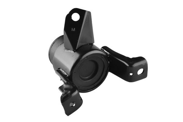 Variklio montavimas TEDGUM 00390515